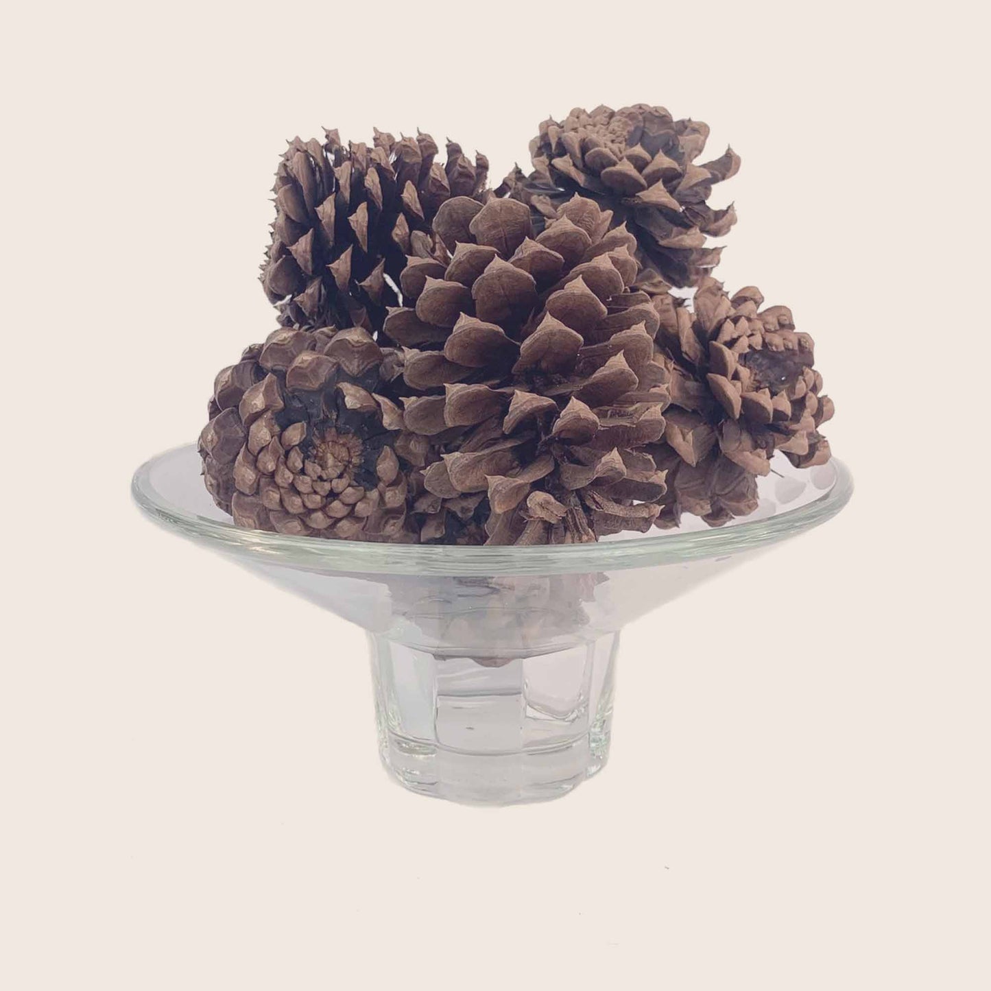 The Smell Of Tree - Pinecone Bag