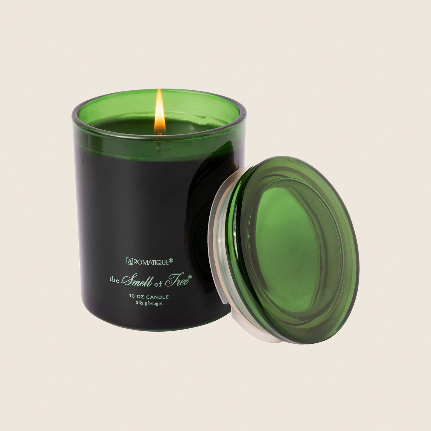The Smell of Tree -  Foundry Candle