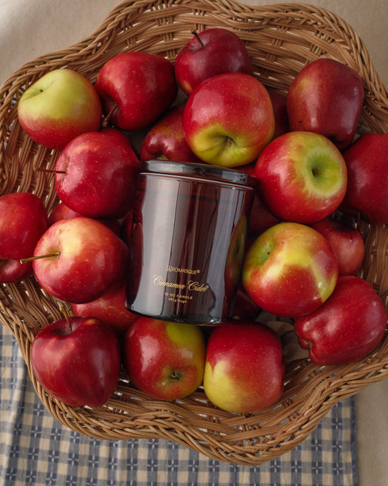 Cinanmon Cider Holiday Bundle