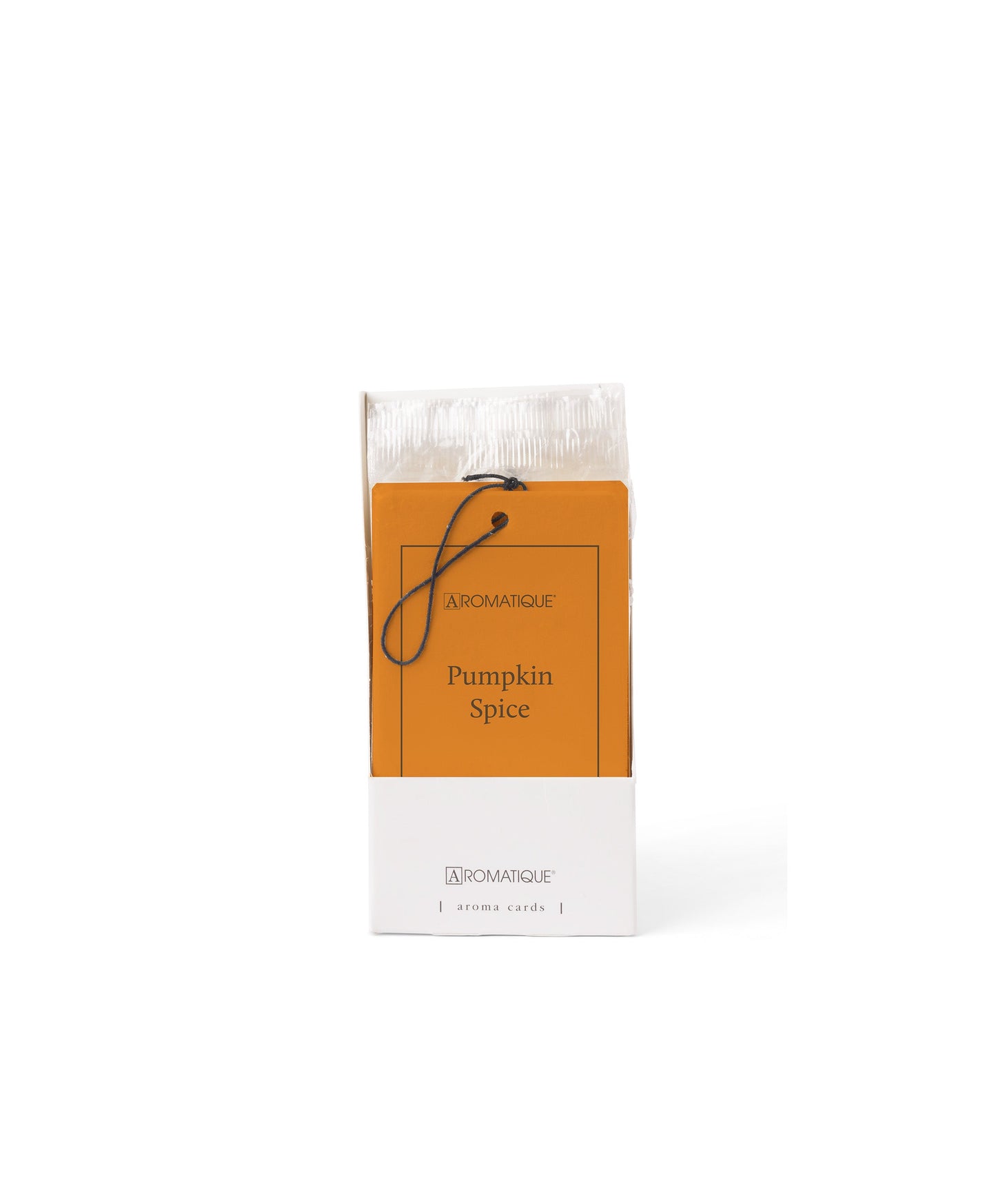 Pumpkin Spice  -  Aroma Card